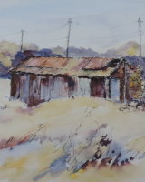 The Old Rustic Shed