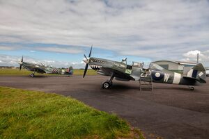 GREY NURSE AND GILDA