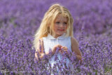 LADY IN LAVENDER