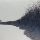Absence iv