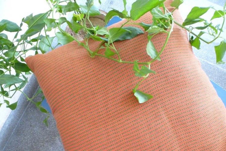 2521290-Cotton Hand-Woven Cushion Cover