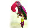 Parrot