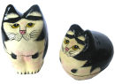 Cat box