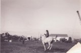 1972 Wingfield
