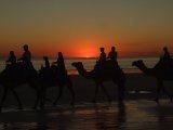 Camel ride
