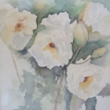 White Roses, by Brenda Fisher