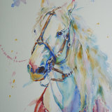 Horse with Red Blanket