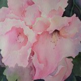 Rhododendron, by Jan Pursey-Grange