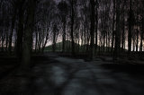 Carried away by a Moonlight Shadow