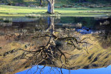 What lies beneath