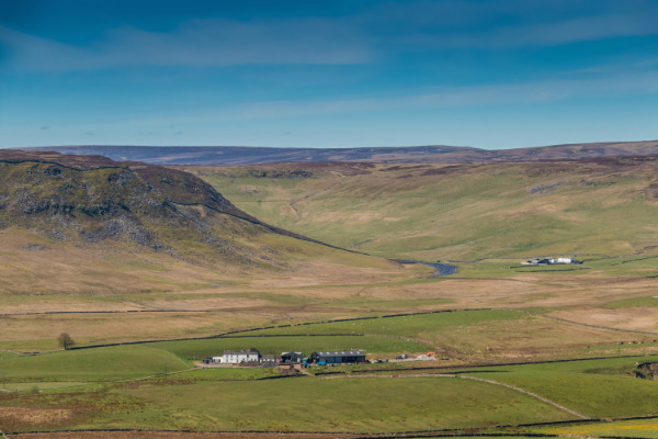 Teesdale Landscapes
