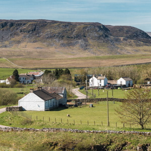 Spring Morning at Langdon Beck