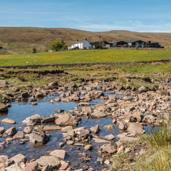 Stoney Hill Farm, Harwood, Upper Teesdale
