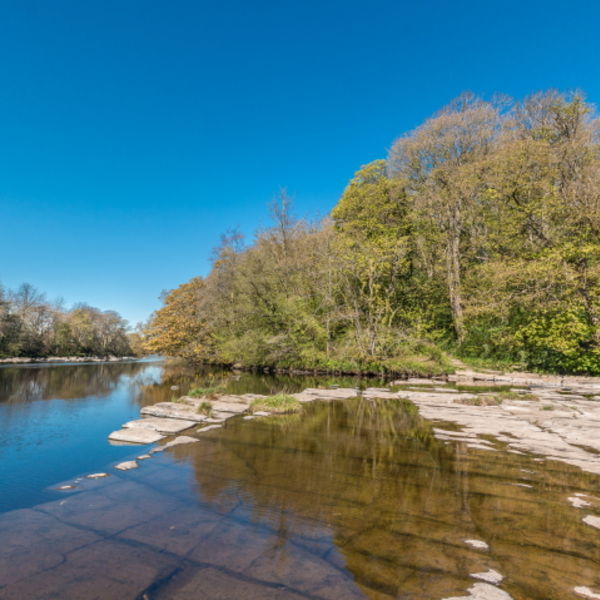 April Morning on the River Tees at Whorlton