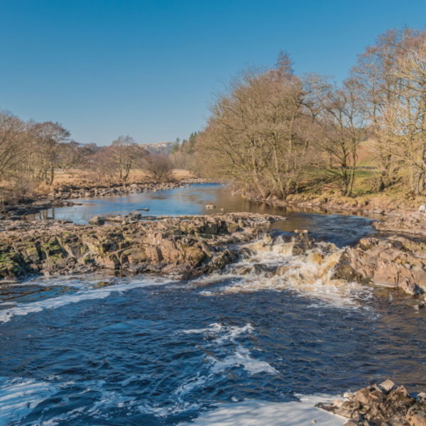 The River Tees between High Force and Low Force Waterfalls in early spring