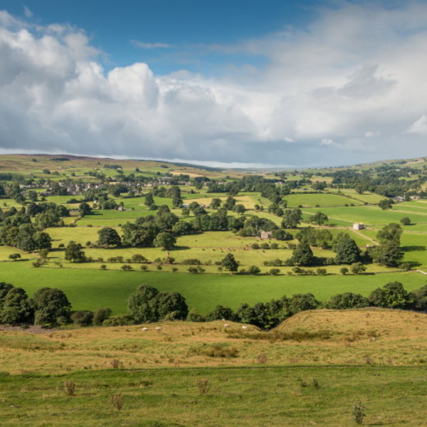 Mickleton and Lunedale from Whistle Crag in Summer