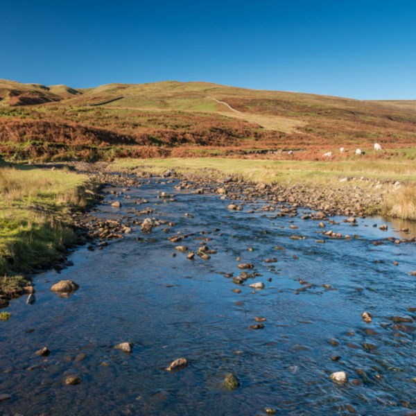 Hudeshope Beck on a Fine Autumn Morning