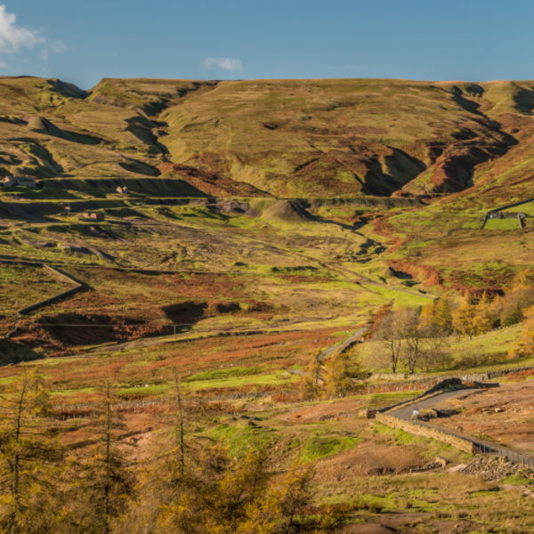 Coldberry Lead Mine Remains