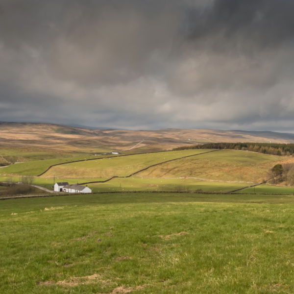 Towards Widdybank Fell from Langdon Beck