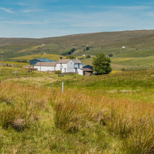Peghorn Lodge Farm, Harwood, Upper Teesdale