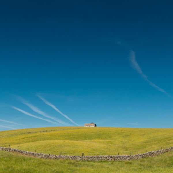 Solitary barn in flower meadows
