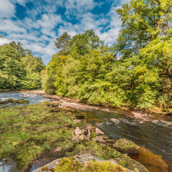 The River Tees between Cotherstone and Romaldkirk