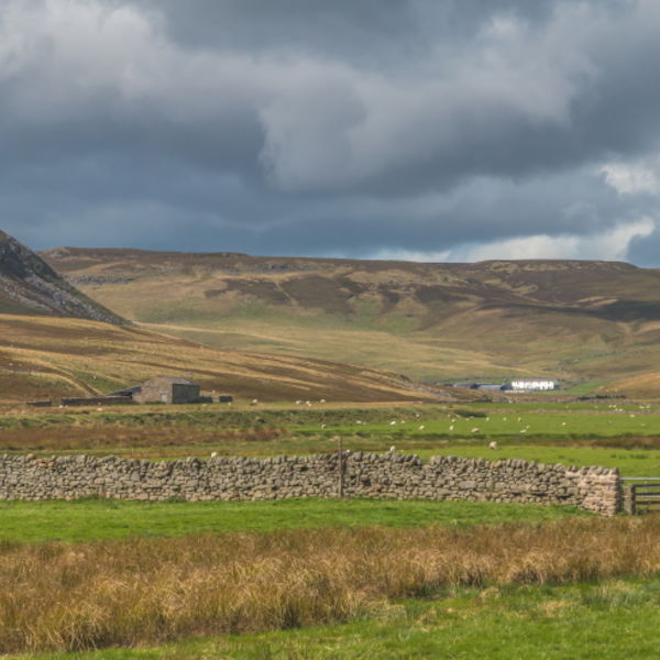 Cronkley Scar and Widdybank Fell from Forest in Teesdale