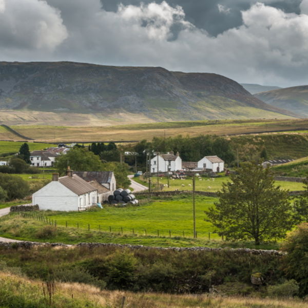 Langdon Beck in Evening Sunshine