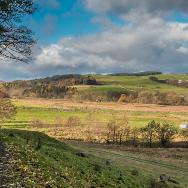 Towards Ettersgill from Holwick