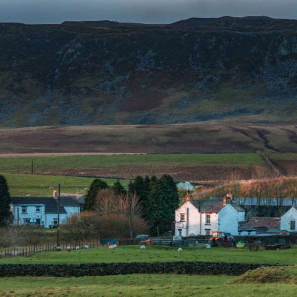 Early Morning at Langdon Beck