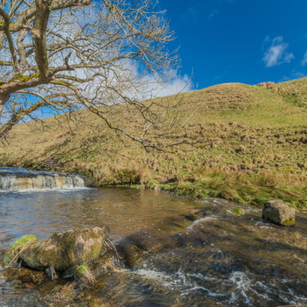 Ettersgill Beck, Early Spring
