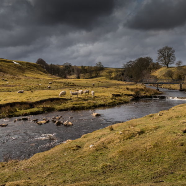 Dramatic Light on Sleightholme Beck
