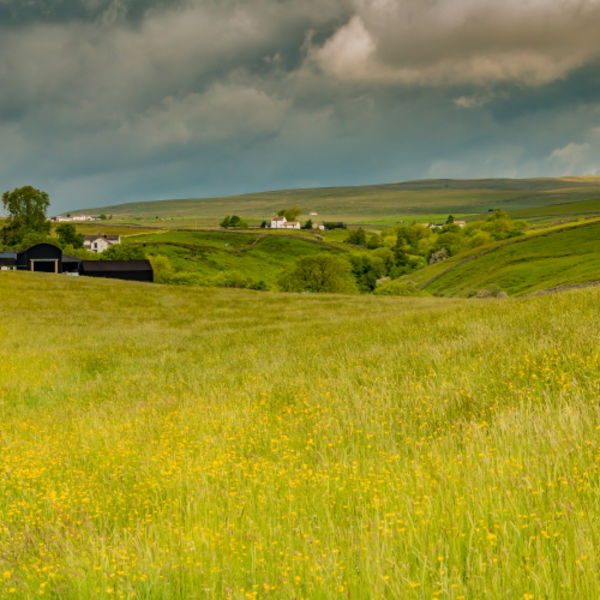 Ettersgill Farms and Hay Meadows