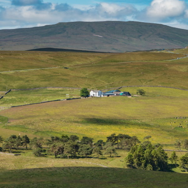 Peghorn Lodge Farm, Harwood