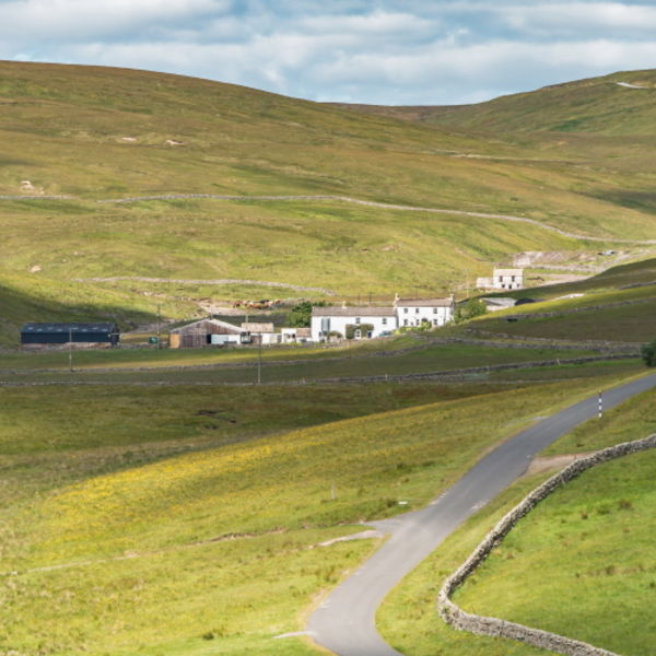 Waters Meeting and Herdship Farms, Harwood