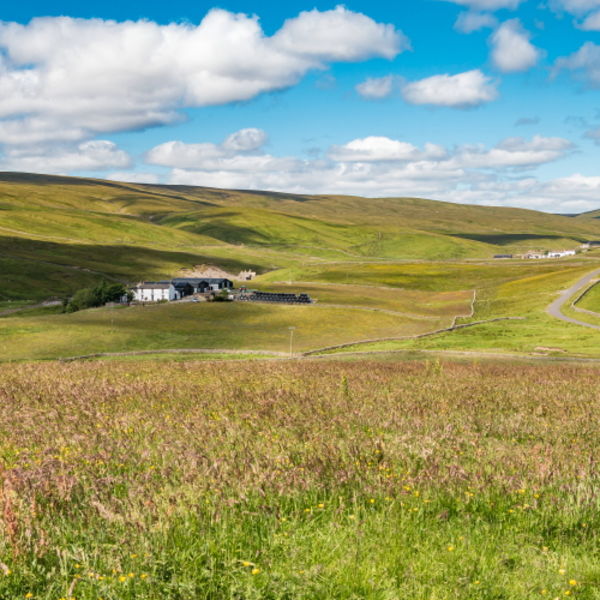 Stoney Hill Farm, Harwood