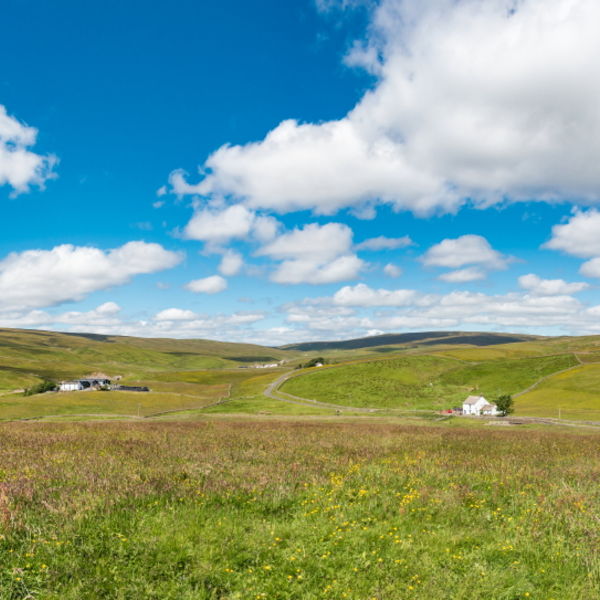 Harwood - The Big Picture