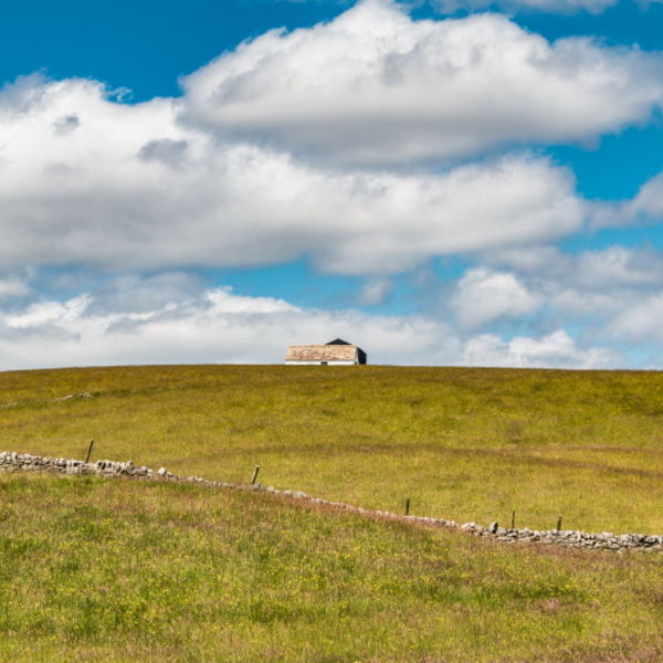 Lingy Hill Barns