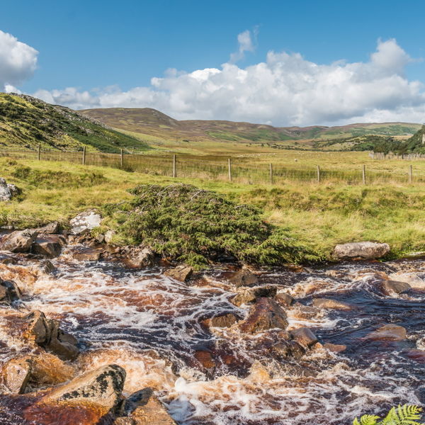 Over Blea Beck towards Cronkley Fell