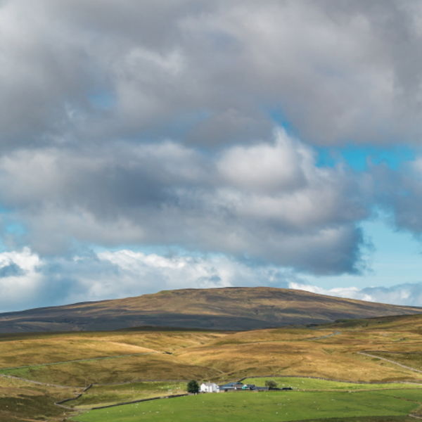 Peghorn Lodge Farm and Meldon Hill from Green Hills Farm