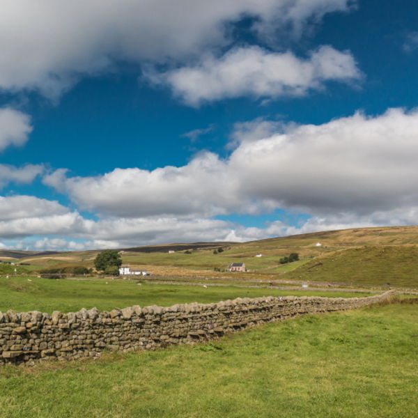 Harwood from Marshes Gill