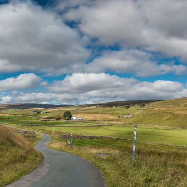 Harwood in Early Autumn Sunshine