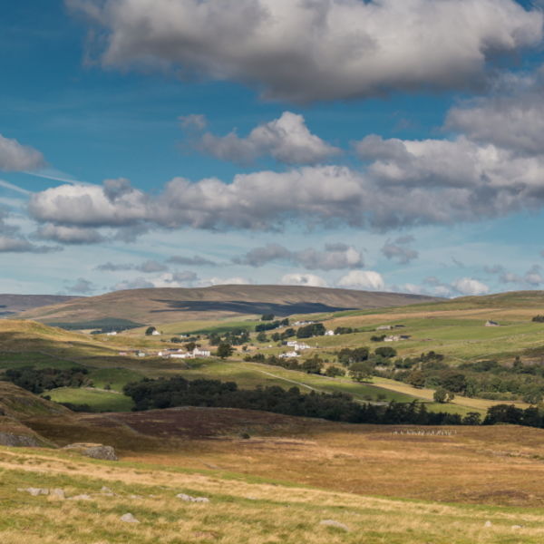 Forest in Teesdale from Holwick Fell VPano