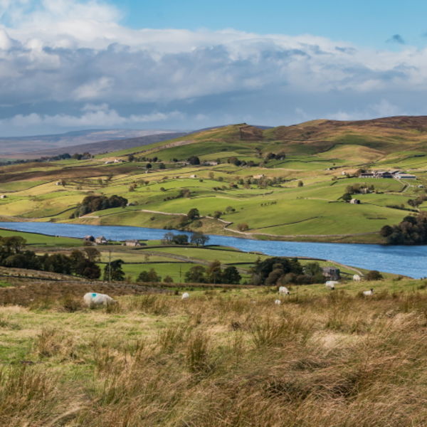Grassholme Reservoir