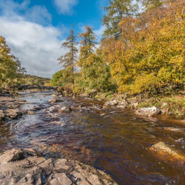 Autumn on the River Tees between High and Low Force Waterfalls