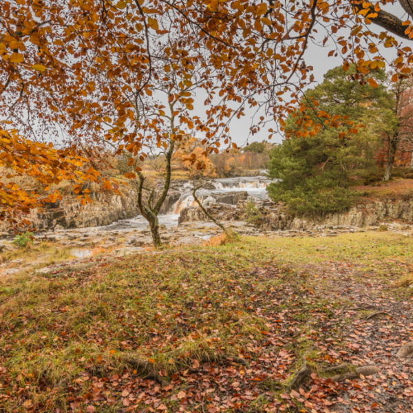 Autumn Leaves at Low Force Waterfall