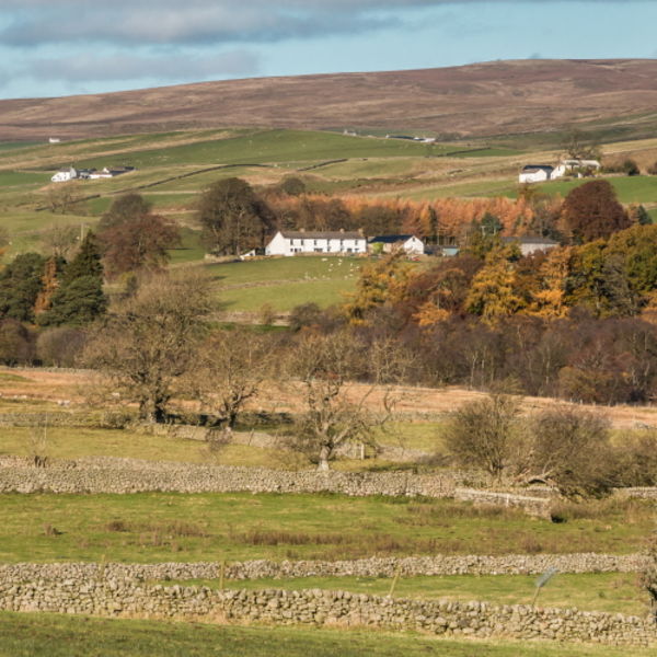 East Friar House Farm from Holwick