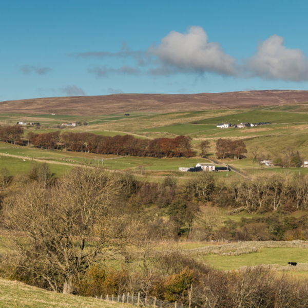 Across to Ettersgill from Hield House