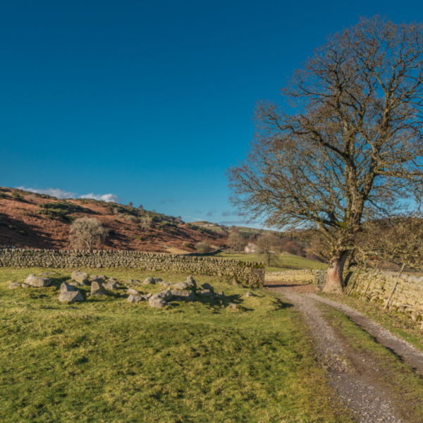 Track to Holwick Head House