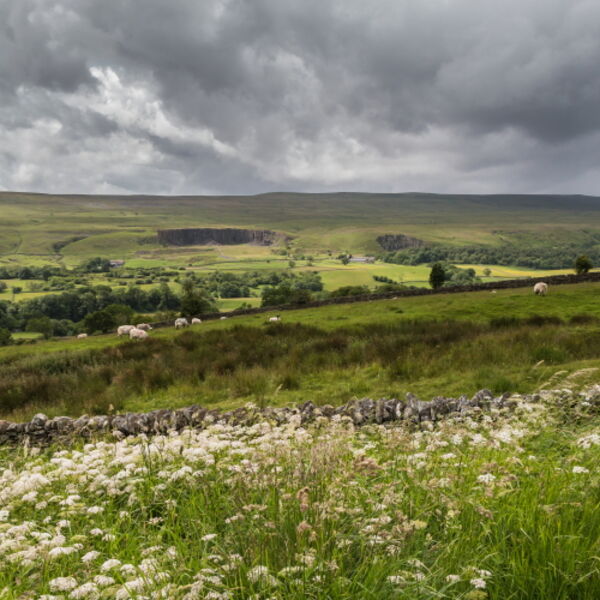 Crossthwaite and Park End Quarries